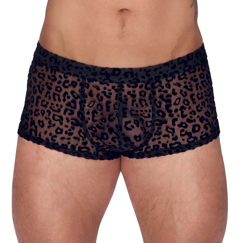 H.Pants leo
